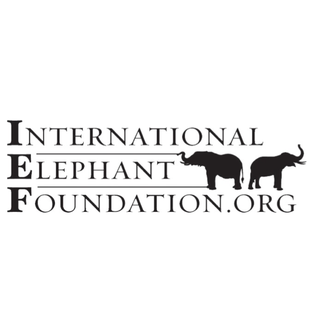 International_Elephant_Foundation_logo